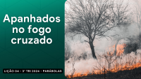 Lição 04 - Parábolas.pptx